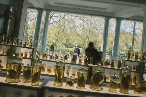 A long glass display case filled with rows of vintage tins and colourful paper packaging